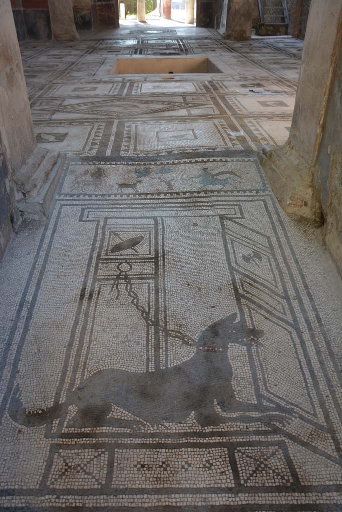 I.7.1 Pompeii, 1978. Entrance mosaic. Photo by Stanley A. Jashemski.   
Source: The Wilhelmina and Stanley A. Jashemski archive in the University of Maryland Library, Special Collections (See collection page) and made available under the Creative Commons Attribution-Non Commercial License v.4. See Licence and use details. J78f0637
