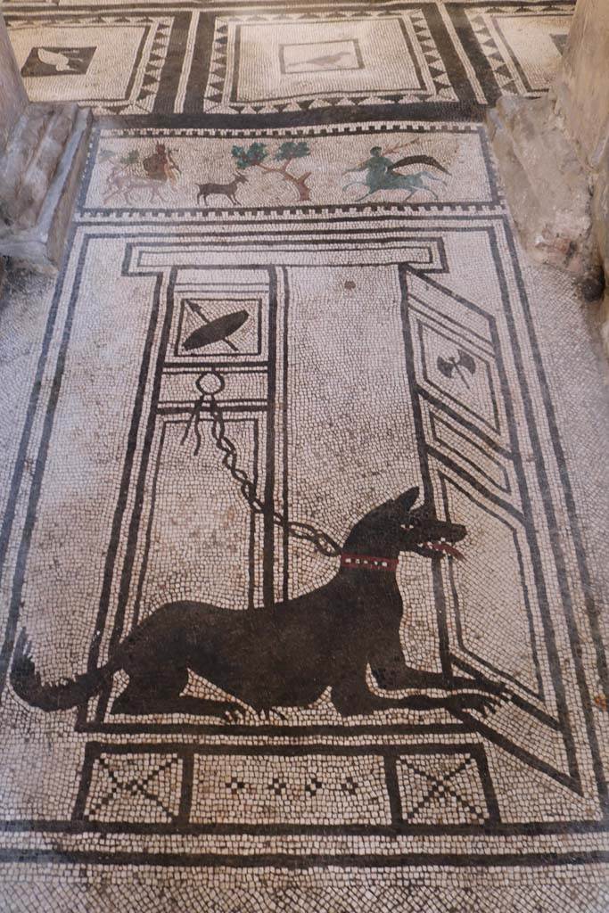 I.7.1 Pompeii. October 2019. Entrance mosaic of guard dog, looking south across atrium.
Foto Annette Haug, ERC Grant 681269 DCOR.
