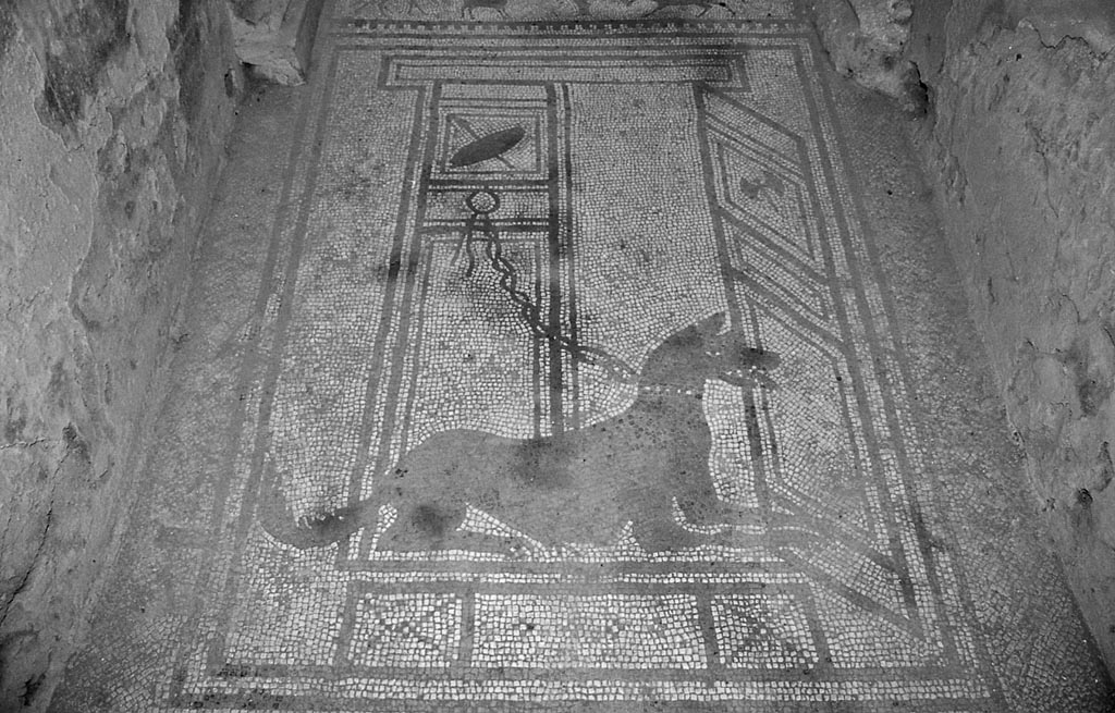 I.7.1 Pompeii. December 2018. 
Mosaic of guard dog set into floor of entrance corridor/fauces. Photo courtesy of Aude Durand.
