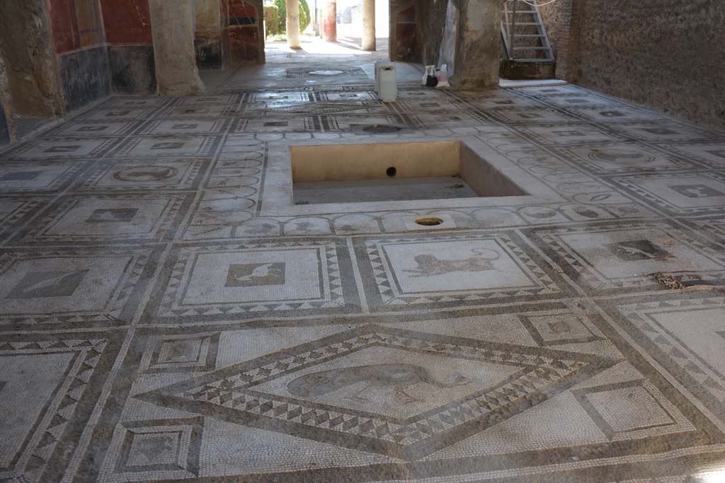 I.7.1 Pompeii. October 2001. Entrance mosaic of guard dog. Photo courtesy of Peter Woods. 
