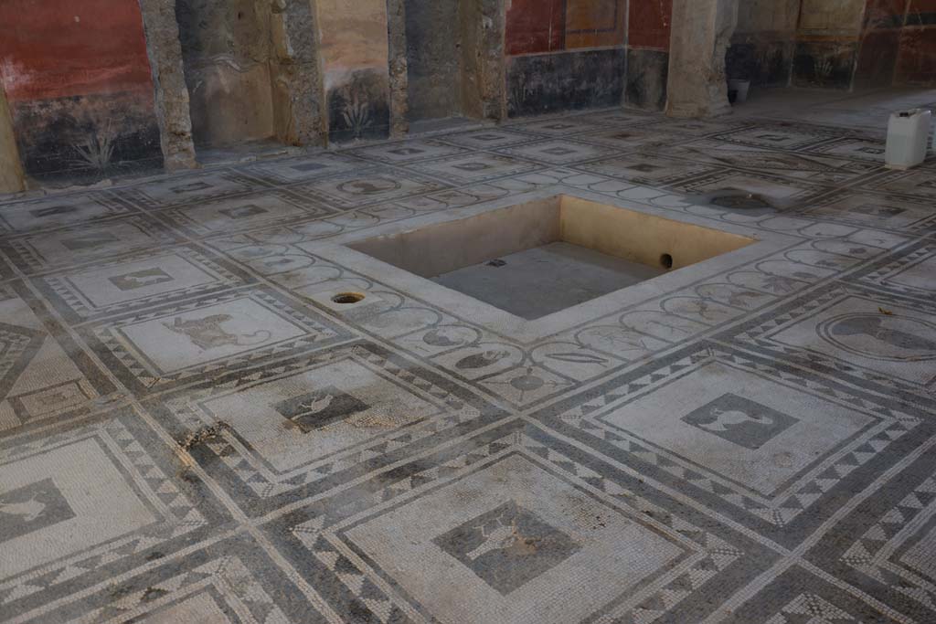 I.7.1 Pompeii. January 2017. Looking south across atrium mosaic floor, from entrance corridor.
Foto Annette Haug, ERC Grant 681269 DCOR.
