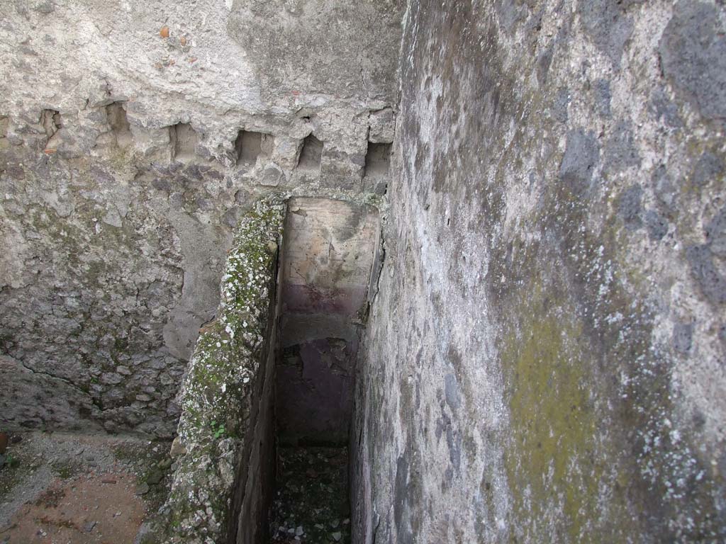 I.7.1 Pompeii. December 2006. Lower level. Remains of painted plaster.