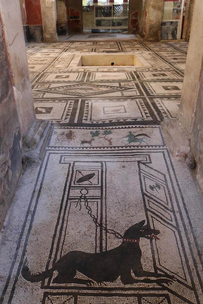 I.7.1 Pompeii. December 2018. 
Looking south towards atrium from entrance doorway across mosaic with guard-dog. 
Photo courtesy of Aude Durand
