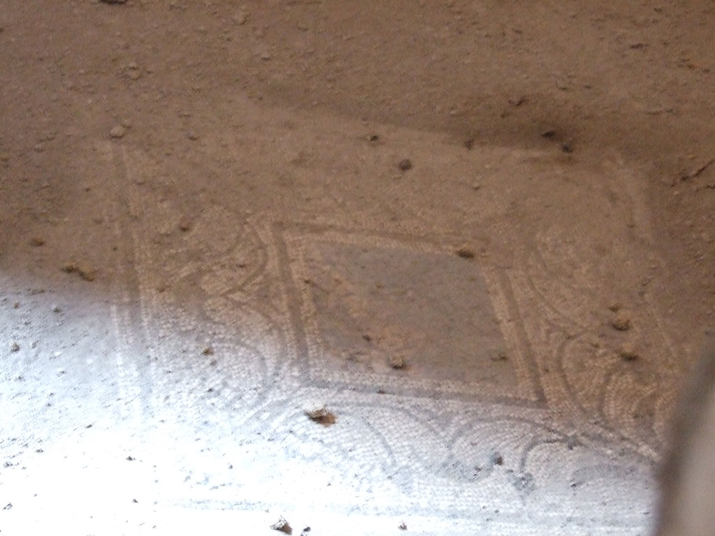 I.7.3 Pompeii. December 2005. Mosaic floor and centre panel in triclinium in north-east corner of atrium.  Photo taken from I.7.4.