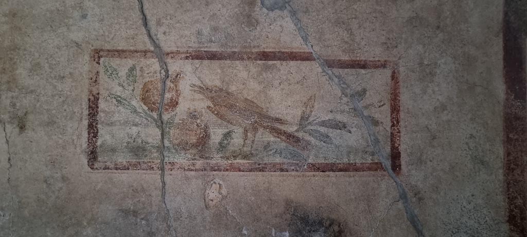 I.7.11 Pompeii. December 2023. Wall painting of bird on north wall in cubiculum to south-east of atrium. Photo courtesy of Miriam Colomer.

