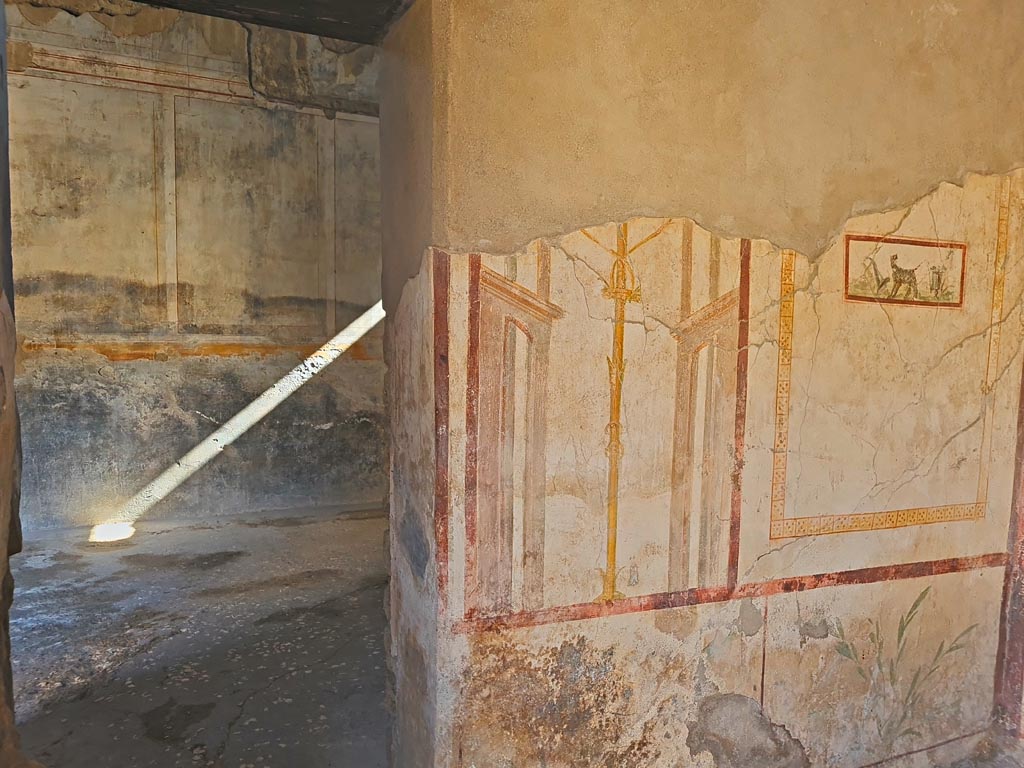 I.7.11 Pompeii. March 2024. East wall of cubiculum, with doorway into triclinium, on left. Photo courtesy of Giuseppe Ciaramella.