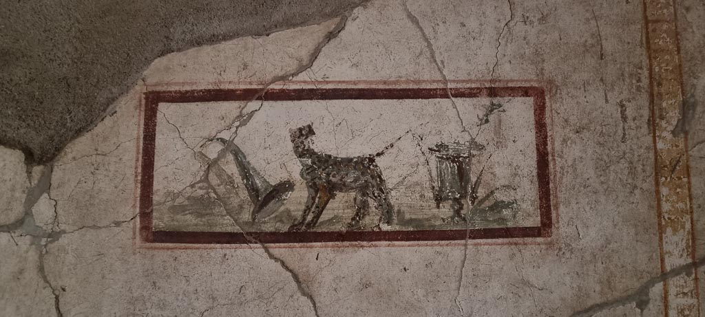 I.7.11 Pompeii. December 2023.
East wall of cubiculum to south-east of atrium, wall painting of the attributes of Dionysus, panther, cup and horn of plenty. 
Photo courtesy of Miriam Colomer.
