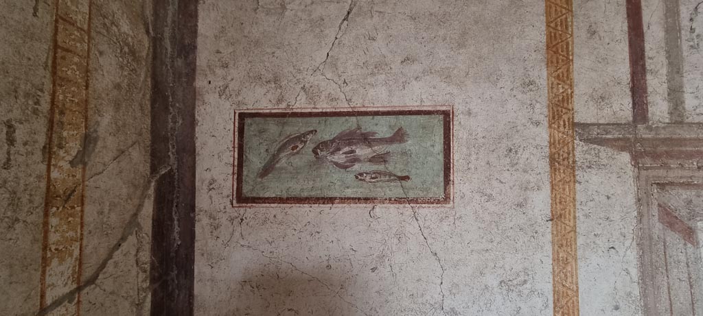 I.7.11 Pompeii. December 2023. Wall painting of fish from east end of south wall of cubiculum. Photo courtesy of Miriam Colomer.