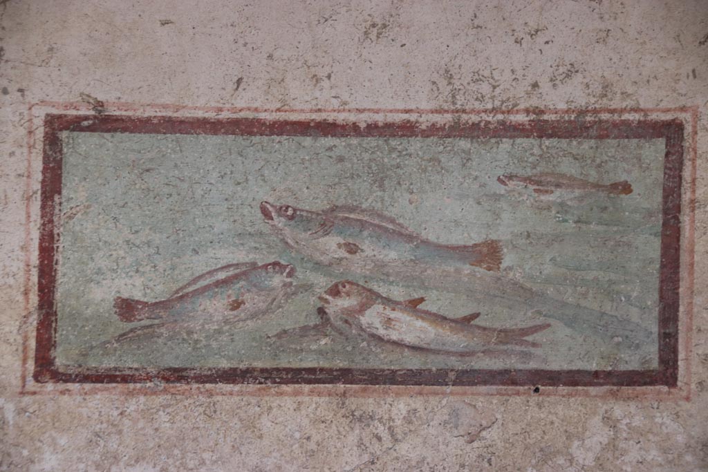 I.7.11 Pompeii. May 2024.  
South wall of cubiculum to south-east of atrium, wall painting of fish from west end of south wall. Photo courtesy of Klaus Heese.
