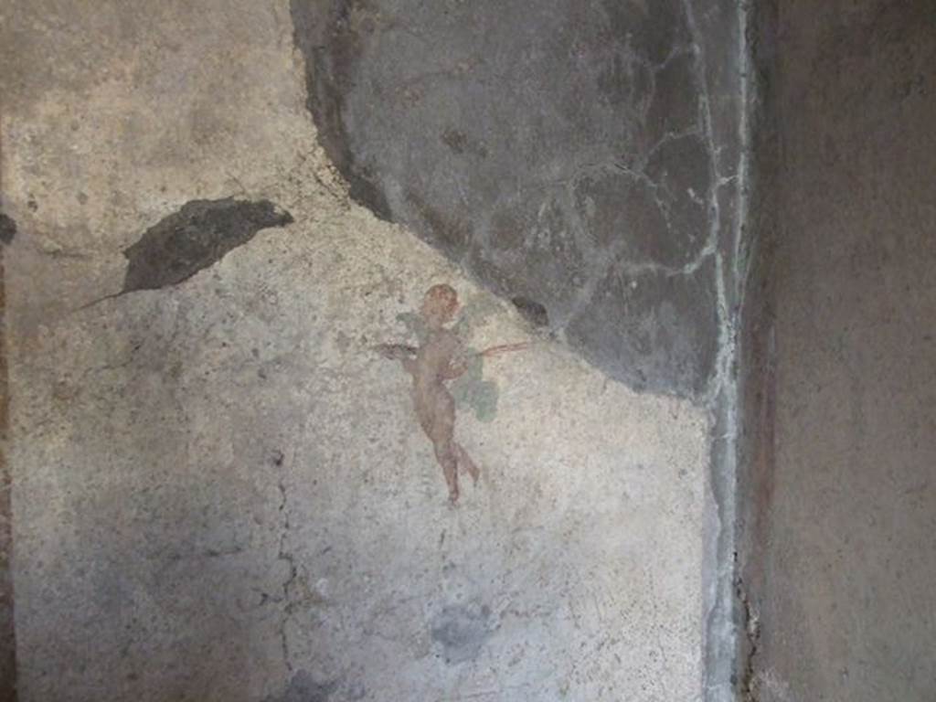 I.7.11 Pompeii. May 2017. Looking towards north-west corner and north wall of cubiculum. Photo courtesy of Buzz Ferebee.
