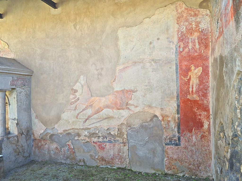 I.7.12 Pompeii. March 2024. South wall of garden area, with detail of bull and bear wall painting. Photo courtesy of Giuseppe Ciaramella.