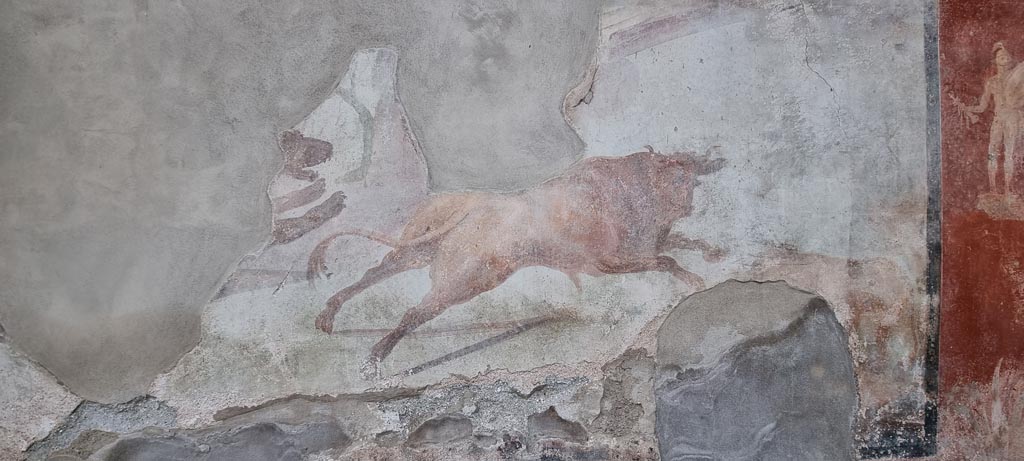 I.7.12 Pompeii. December 2023. Detail of bull and bear wall painting from south wall of garden area. Photo courtesy of Miriam Colomer.