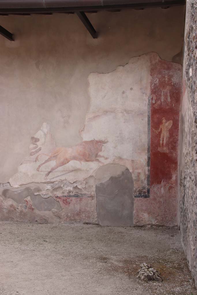 I.7.12 Pompeii. September 2021. 
South wall and south-west corner with painting of bull in hunting scene, and naked armed warrior.
Photo courtesy of Klaus Heese.
