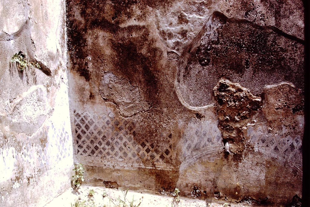 I.7.19 Pompeii. 1972. East wall and north-east corner of small garden area. Photo by Stanley A. Jashemski. 
Source: The Wilhelmina and Stanley A. Jashemski archive in the University of Maryland Library, Special Collections (See collection page) and made available under the Creative Commons Attribution-Non-Commercial License v.4. See Licence and use details.
J72f0097
