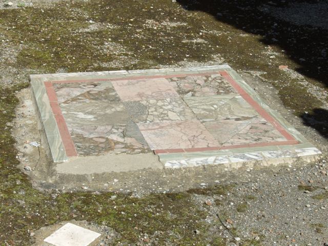 I.8.9 Pompeii. April 2010. Room 2, oecus. Detail of emblema in opus sectile of coloured marbles. Photo courtesy of Klaus Heese.