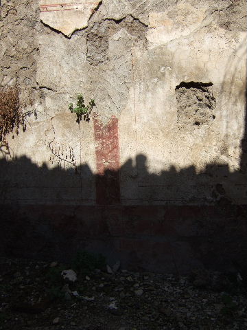 I.8.10 Pompeii. September 2005. 
North wall of rear cubiculum 8 on west side, which would have shown a simple two-coloured scheme with vignettes of flying cupids in panels, separated by narrow red compartments. 
The zoccolo was red with painted plants, and the middle zone of the wall was white.
