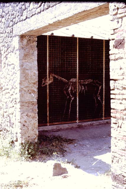 I.8.12 Pompeii. September 2005. Entrance doorway, with “break”in pavement permitting entry of carts. According to Wallace-Hadrill, this entrance led to a stable-yard, with a rear room and stairs to upper level. See Wallace-Hadrill, A. (1994): Houses and Society in Pompeii and Herculaneum. UK, Princeton Univ. Press,  (p.192)
