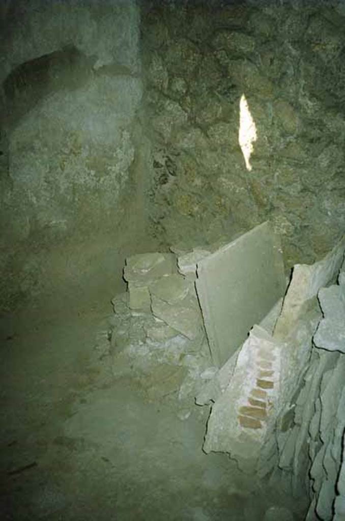 I.8.17 Pompeii. June 2010. 
Room 8, looking towards south-west corner. Photo courtesy of Rick Bauer.
