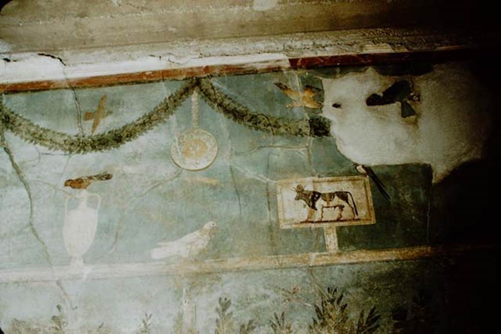 I.9.5 Pompeii. April 2022. Room 5, cubiculum. Upper north wall. Painting of Apis bull. Photo courtesy of Johannes Eber.