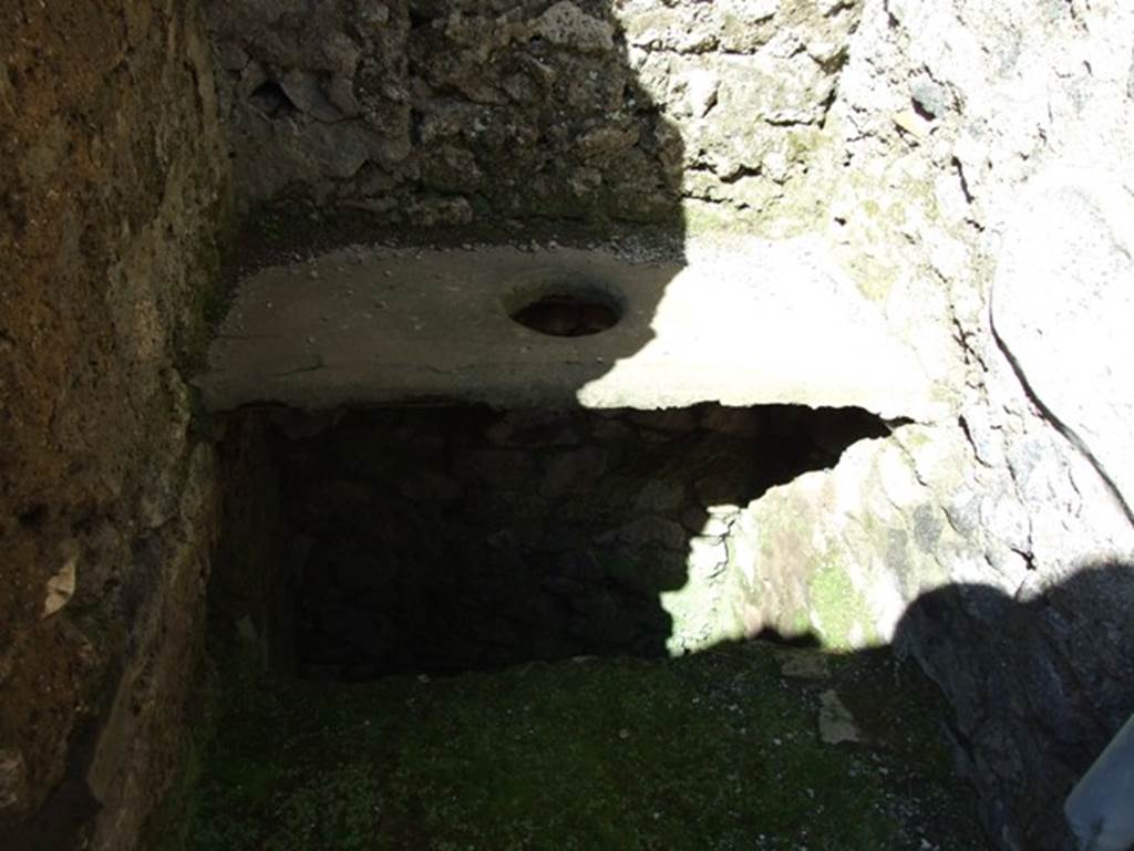 I.9.5 Pompeii. March 2009. Room 15. Latrine ( modern reconstruction).