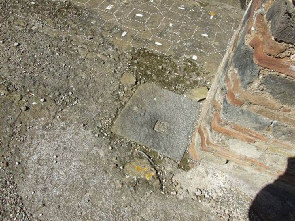 I.9.5 Pompeii. March 2009, Room 17. Triclinium. Floor, and mosaic flooring of south portico.