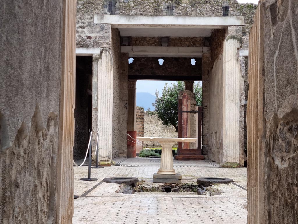 I.9.5 Pompeii. May 2015. Room 1, fauces. Looking south across atrium. Photo courtesy of Buzz Ferebee.
