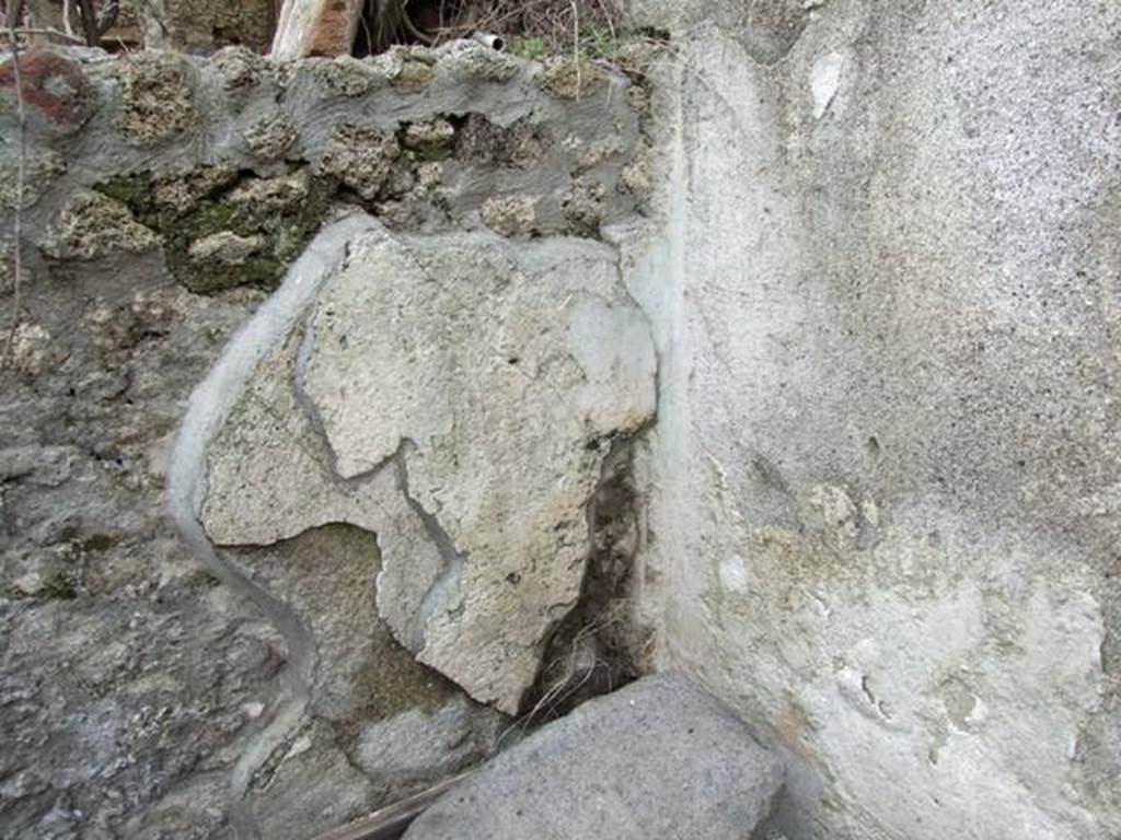 I.9.14 Pompeii. March 2009. Room 2, remains of garden painting in north-east corner of garden wall.