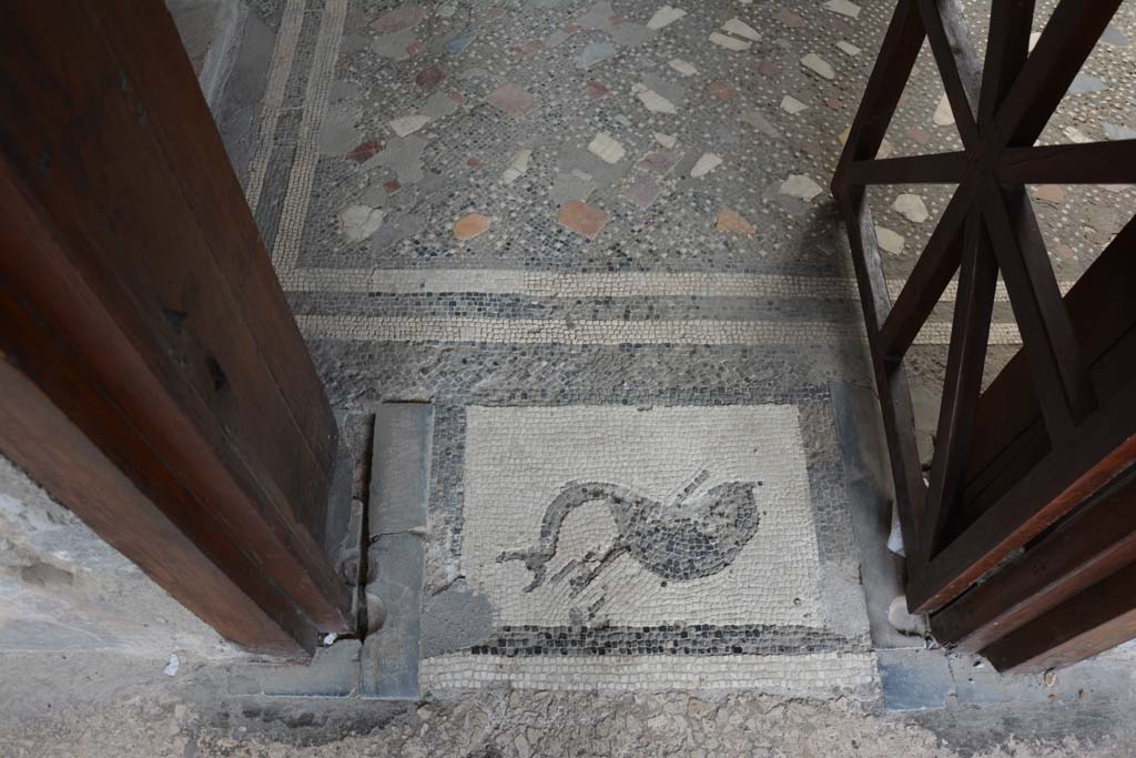 I.10.4 Pompeii. September 2019. Room 46, entrance doorway mosaic.
Foto Annette Haug, ERC Grant 681269 DÉCOR.
