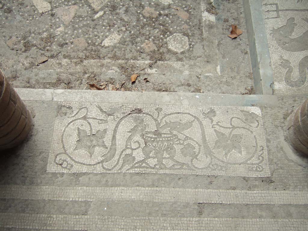 I.10.4 Pompeii. May 2006. Room 46, atrium. Mosaic of ivy and pot.