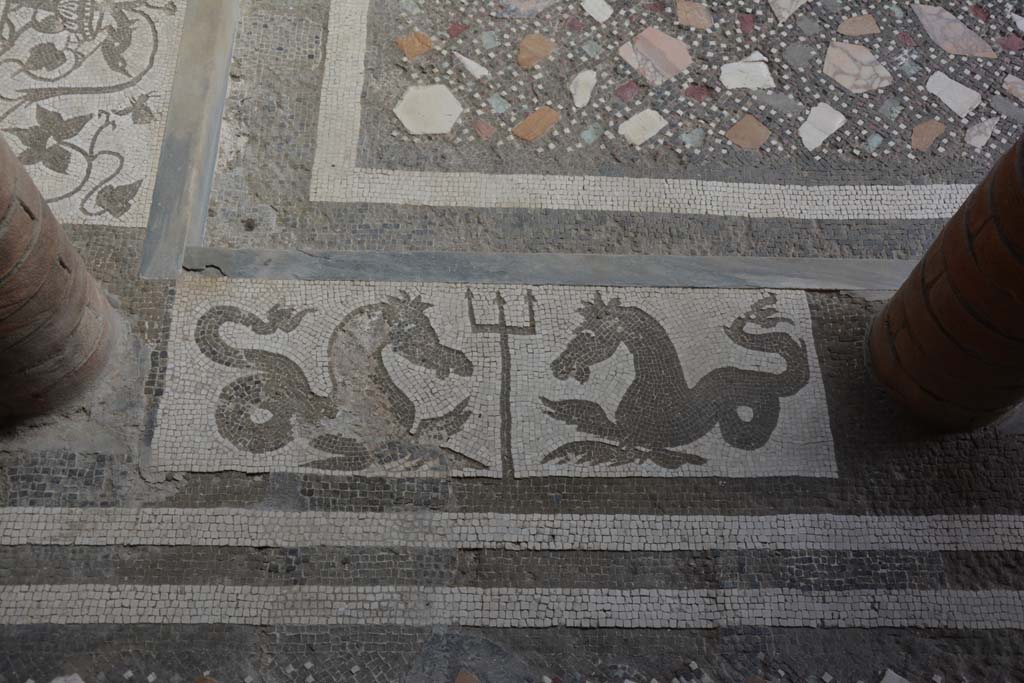 I.10.4 Pompeii. September 2019. Room 46, mosaic of two seahorses and a trident.
Foto Annette Haug, ERC Grant 681269 DÉCOR.

