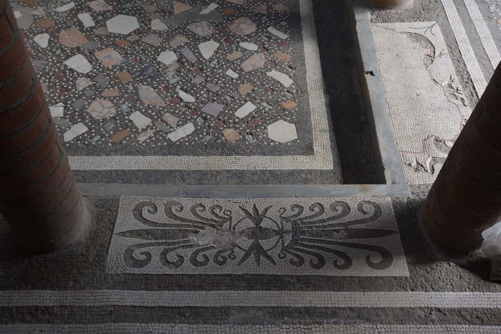 I.10.4 Pompeii. September 2019. Room 46, mosaic with plumes.
Foto Annette Haug, ERC Grant 681269 DÉCOR.
