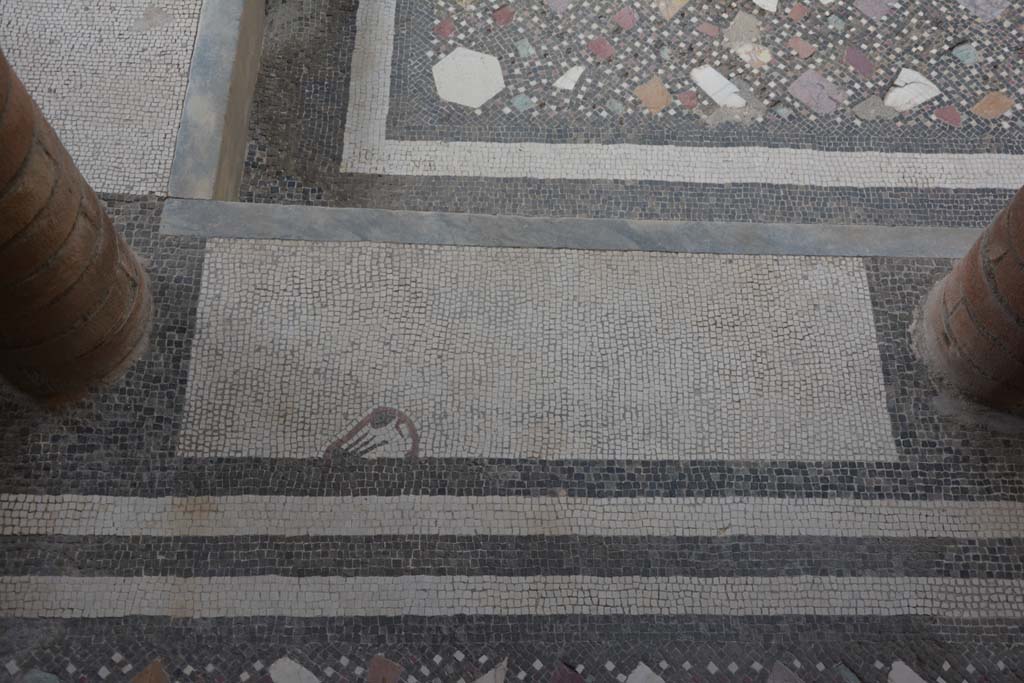 I.10.4 Pompeii. September 2019. Room 46, mosaic in baths’ atrium.
Foto Annette Haug, ERC Grant 681269 DÉCOR.
