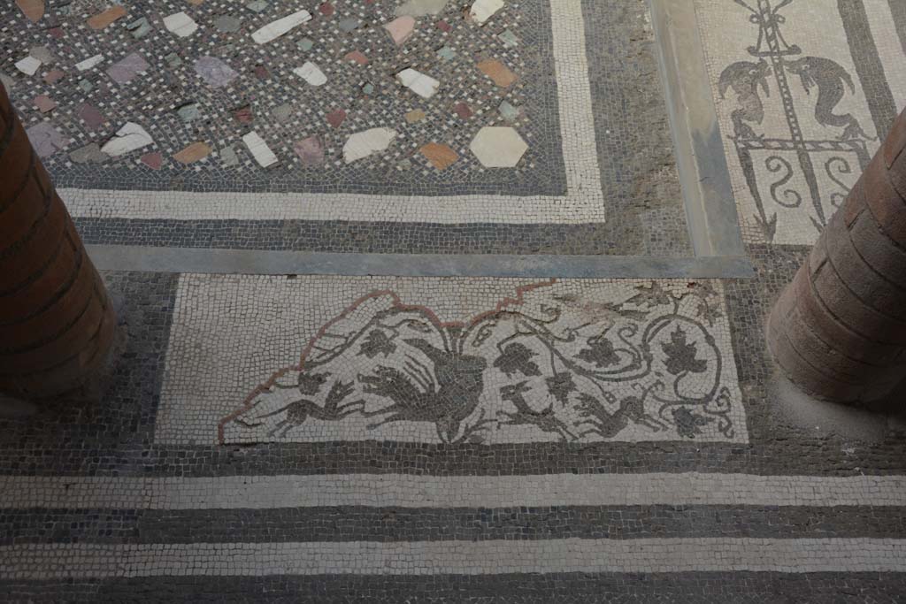 I.10.4 Pompeii. September 2019. Room 46, atrium. Mosaic of dogs attacking a giant sea creature?
Foto Annette Haug, ERC Grant 681269 DÉCOR.
