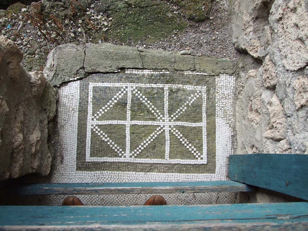 I.10.4 Pompeii. December 2006. Room 47, detail of mosaic in opening on west side.