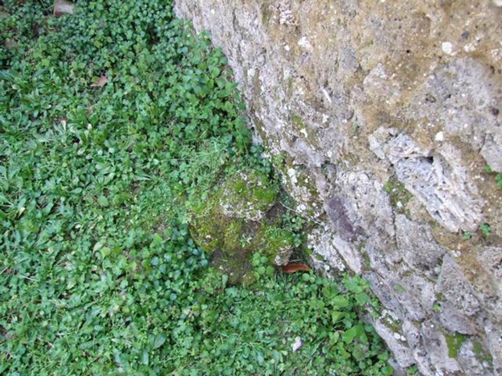 I.10.8 Pompeii.  March 2009.  Room 14.  Garden.  West wall.