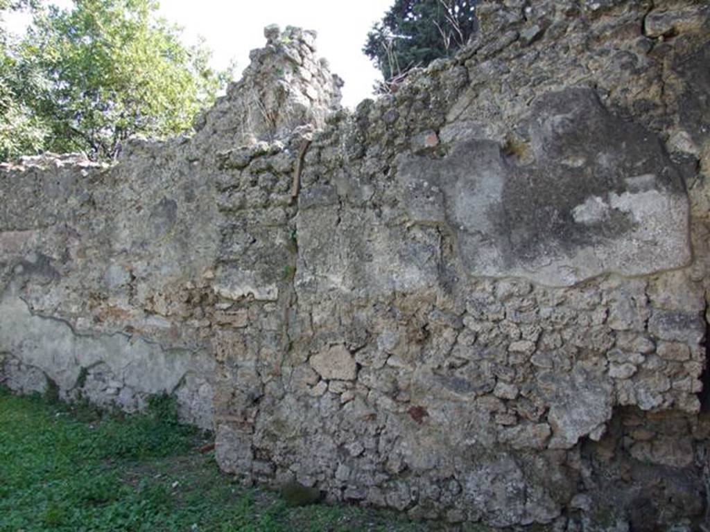 I.10.8 Pompeii.  March 2009.  Room 14. Garden. South wall.