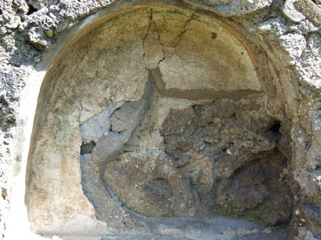 I.10.8 Pompeii. March 2009. Room 14, arched niche.
According to Boyce and Giacobello, in the east wall of the garden was an arched niche with a very thick projecting floor.
The side walls were yellow, and the rear wall was white, and upon it was a painting.
Of this painting only, a green tree was visible to Boyce in 1937.
On the white surface of the wall to the left of the niche, a Lar was painted in blue garments. He held as situla in his lowered right hand but his left was not preserved.
See Notizie degli Scavi di Antichit, 1934, p. 316.
See Boyce G. K., 1937. Corpus of the Lararia of Pompeii. Rome: MAAR 14. (p.29, no.58) 
See Giacobello, F., 2008. Larari Pompeiani: Iconografia e culto dei Lari in ambito domestico.  Milano: LED Edizioni. (p.257)

