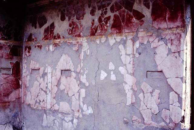 I.10.18 Pompeii. September 2005. Looking south-west from entrance fauces.
Right of centre is the area of room 6, looking ahead to cistern mouth in walkway No.8.
On the left at the end of the entrance corridor wall is the south-west side of the atrium.
Left of centre is room 7, the kitchen (room 9) is at the rear of room 7.

According to Boyce, in the south wall of the kitchen beside the hearth was a fragmentary painting in two zones.
It was on a white background outlined with red stripes.
In the upper zone stood the Genius, with a Lar.
In the lower zone, beneath garlands, was the tail of a black and yellow serpent.
Below the serpent were several kitchen articles, a hogs head, a ham on a nail, and an eel on a spit.
See Notizie degli Scavi di Antichit, 1934, p. 344, and fig.38.
See Boyce G. K., 1937. Corpus of the Lararia of Pompeii. Rome: MAAR 14. (p.29, no.60) 
Frhlich described it was mostly fallen from the wall on the right but the left was mainly okay.
See Frhlich, T., 1991. Lararien und Fassadenbilder in den Vesuvstdten. Mainz: von Zabern. (L18, Taf. 26, 3)

