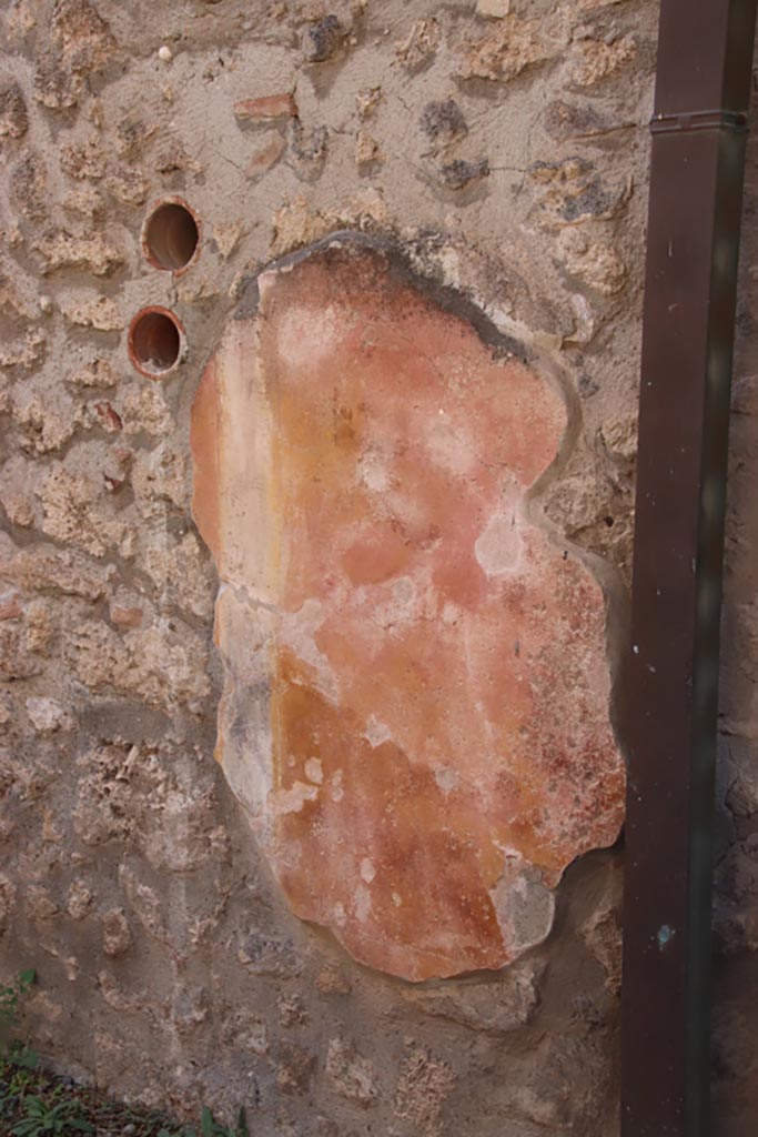 I.11.2 Pompeii. October 2023. Detail of remains of painted plaster on west wall. Photo courtesy of Klaus Heese.