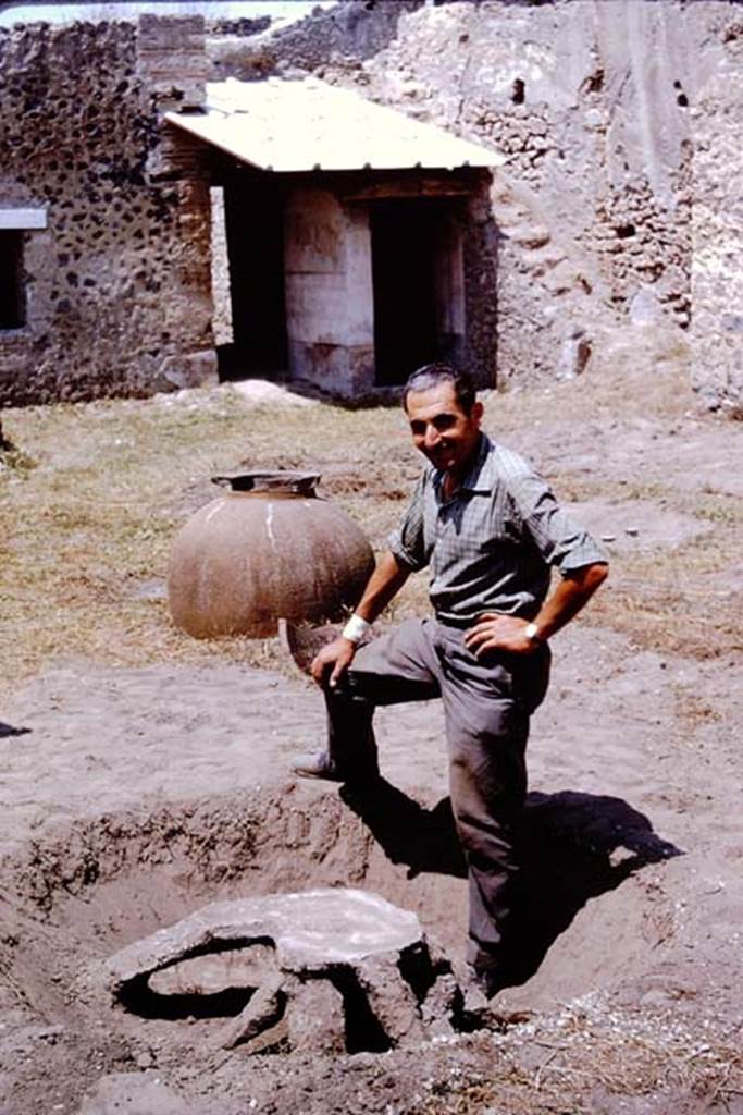 I.11.10 Pompeii. 1964. Sig. Sicignano proudly displaying all his own work. Photo by Stanley A. Jashemski.
Source: The Wilhelmina and Stanley A. Jashemski archive in the University of Maryland Library, Special Collections (See collection page) and made available under the Creative Commons Attribution-Non Commercial License v.4. See Licence and use details.
J64f1859
