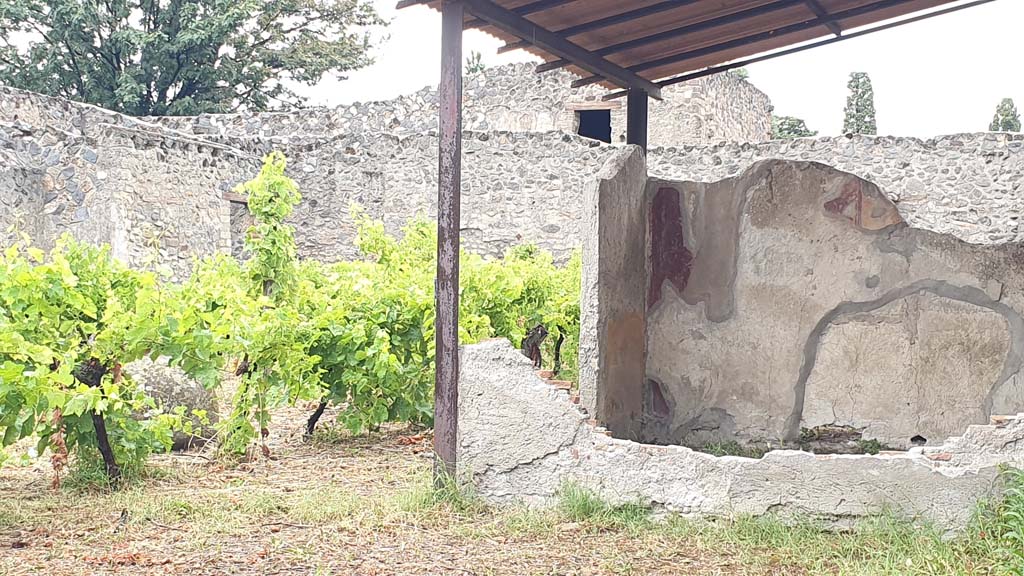 I.11.10 Pompeii. July 2021. Looking north-east across replanted vineyard in garden area.
Foto Annette Haug, ERC Grant 681269 DÉCOR. 
