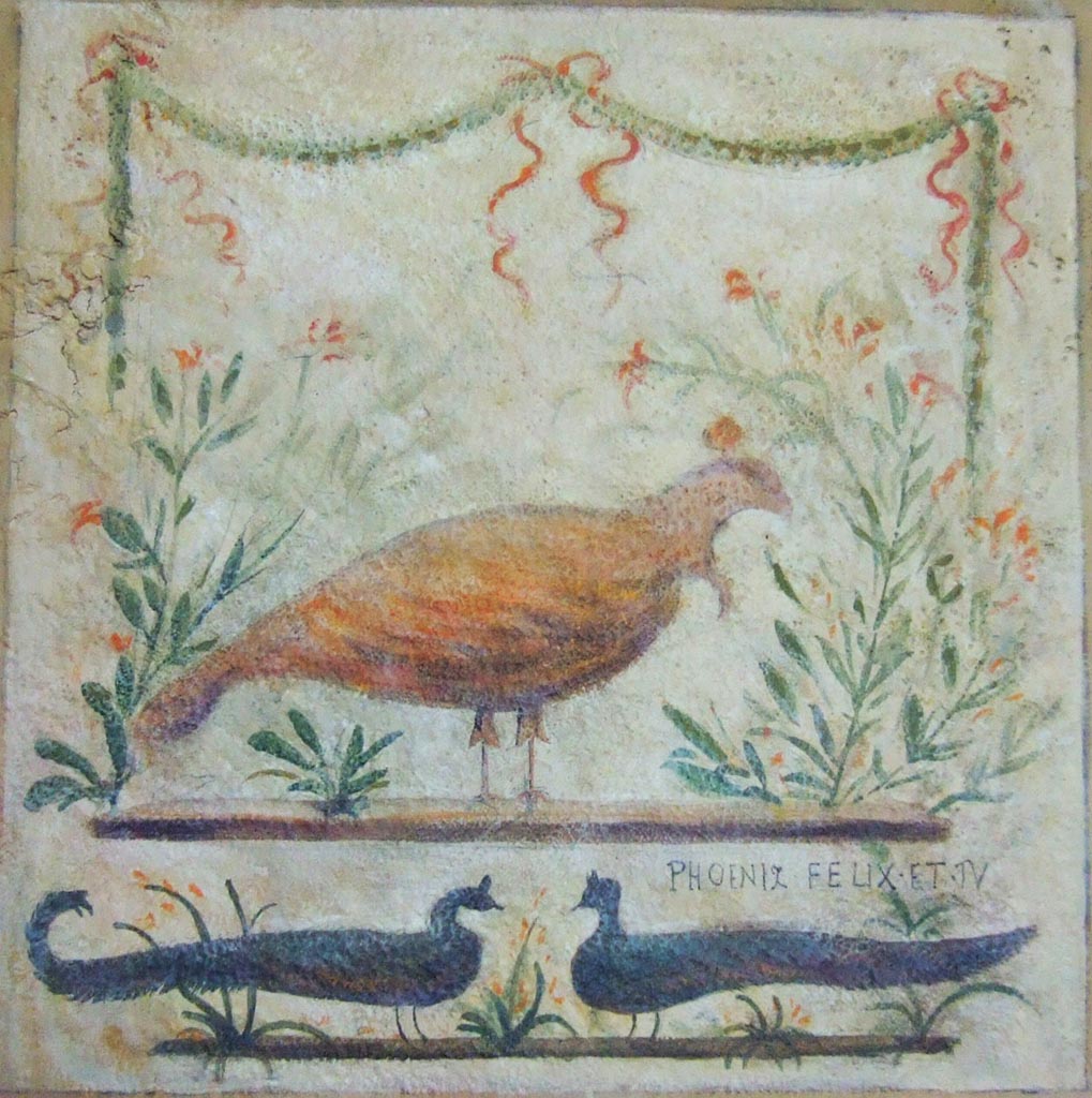 I.11.11 Pompeii. May 2006. Reproduction inn sign, part of a reconstruction of a thermopolium in Naples Museum.
According to Varone and Stefani, the original is now in the deposits at Pompeii.
The painting of the Inn sign had a phoenix with two peacocks and a welcoming inscription.
According to Varone and Stefani, the Inn sign of the phoenix was on the west (left) of the doorway.
On the sign, under the painting of the phoenix, was written –
Phoenix Felix Et Tu      [CIL IV 9850]
According to Cooley, this translated as – “The phoenix is lucky: may you be too.”

See Varone, A. and Stefani, G., 2009. Titulorum Pictorum Pompeianorum, Rome: L’erma di Bretschneider, (p.142-143)
See Cooley, A. and M.G.L., 2004. Pompeii: A Sourcebook. London: Routledge. (p.162)

On the same wall under the Inn sign, CIL IV 9851 was found.
According to Epigraphik-Datenbank Clauss/Slaby (See www.manfredclauss.de), it read -

Q(uintum)  Postum(ium)  M(arcum)  Cerrinium 
aed(iles)  o(ro)  v(os)  f(aciatis) 
Euxinus  rog(at) 
nec  sine  Iusto  scr(ibit)  Hinnulus    [CIL IV 9851]

According to Cooley, this translated as –
“Euxinus asks you to elect Quintus Postumius and Marcus Cerrinius aediles, together with Iustus.  Hinnulus wrote this”.
See Cooley, A. and M.G.L., 2004. Pompeii: A Sourcebook. London: Routledge. (p.116)
