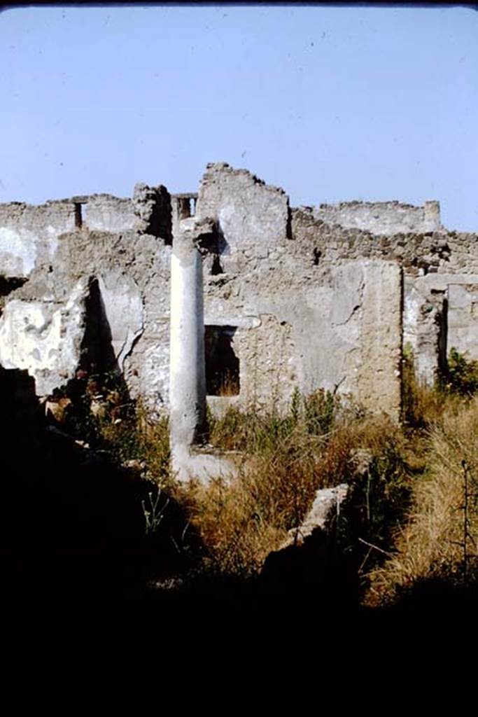 I.11.14 Pompeii. 1964. Looking west along north side of peristyle. Photo by Stanley A. Jashemski.
Source: The Wilhelmina and Stanley A. Jashemski archive in the University of Maryland Library, Special Collections (See collection page) and made available under the Creative Commons Attribution-Non Commercial License v.4. See Licence and use details. J64f1666 
