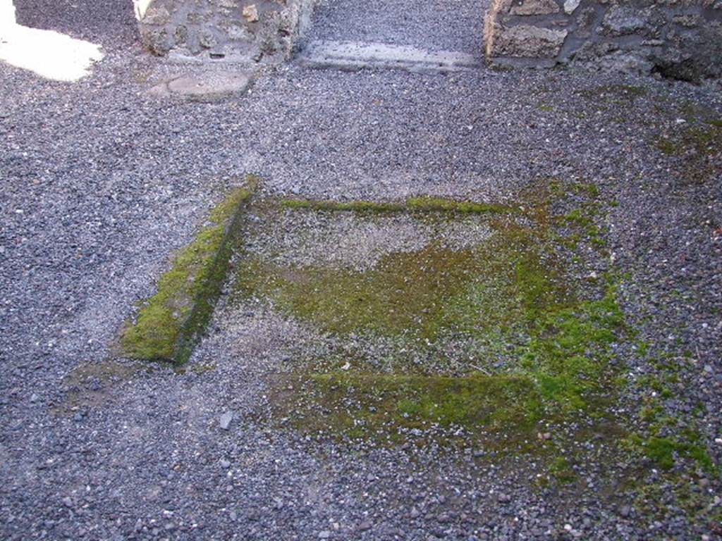 I.11.14 Pompeii. December 2006. Impluvium in atrium, looking east.