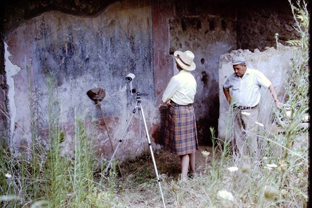 I.12.8 Pompeii. 1968. Room 9, east side of north wall with garden painting, looking towards latrine in north-east corner.  Photo by Stanley A. Jashemski.
Source: The Wilhelmina and Stanley A. Jashemski archive in the University of Maryland Library, Special Collections (See collection page) and made available under the Creative Commons Attribution-Non Commercial License v.4. See Licence and use details.
J68f1272
