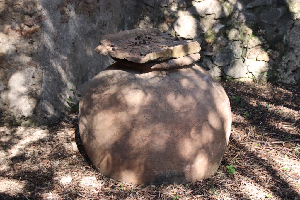 I.12.8 Pompeii. October 2022. Peristyle 9, large terracotta dolium in north-east corner. Photo courtesy of Klaus Heese.