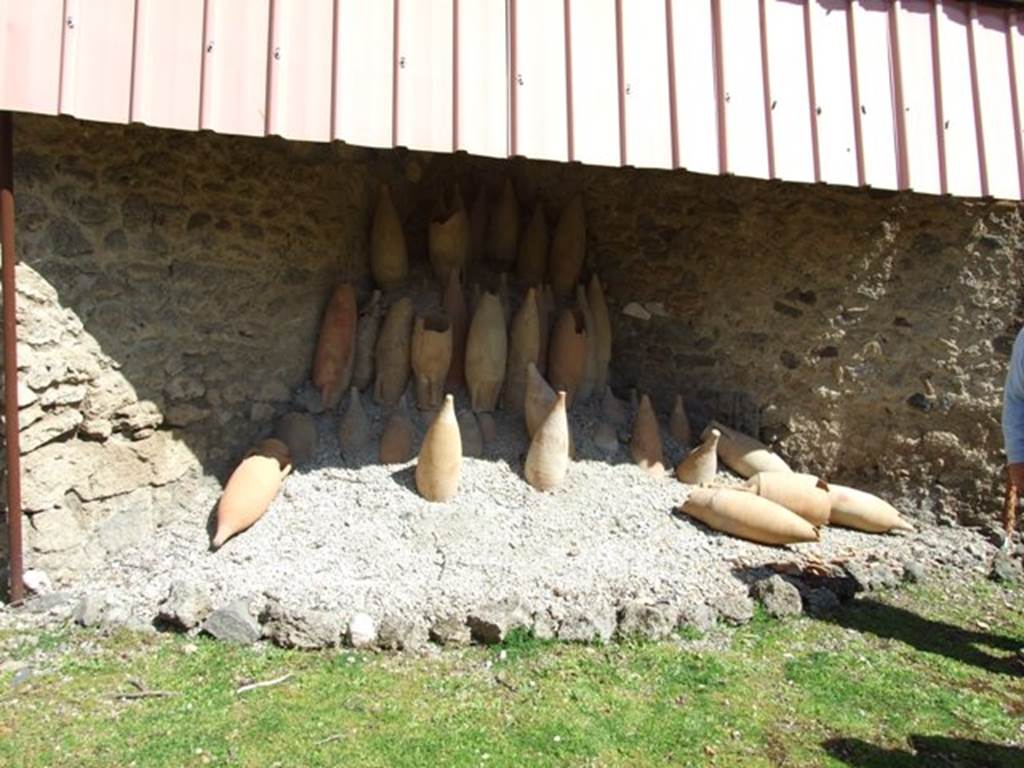 I.12.8 Pompeii.  March 2009.  Room 13.  Rear garden.  Remains of excavated amphorae.