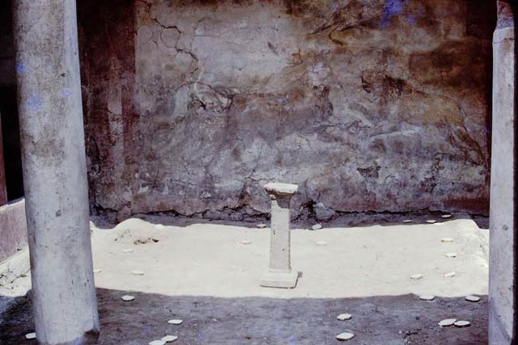 I.12.11Pompeii. 1975. Looking north across small garden area towards remains of large animal painting on north wall. Photo by Stanley A. Jashemski.   
Source: The Wilhelmina and Stanley A. Jashemski archive in the University of Maryland Library, Special Collections (See collection page) and made available under the Creative Commons Attribution-Non Commercial License v.4. See Licence and use details. J75f0687
