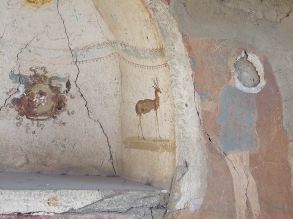 I.12.15 Pompeii. March 2009. Room 5, south side of lararium niche.