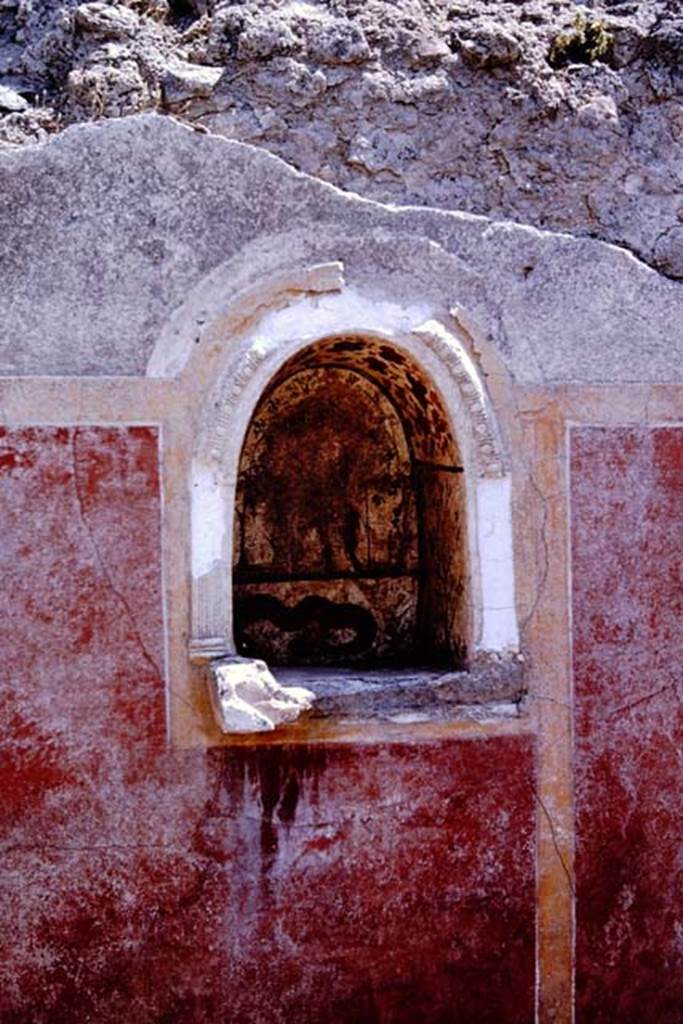 I.12.16 Pompeii. 1964. Painted niche in south wall. Photo by Stanley A. Jashemski.
Source: The Wilhelmina and Stanley A. Jashemski archive in the University of Maryland Library, Special Collections (See collection page) and made available under the Creative Commons Attribution-Non Commercial License v.4. See Licence and use details.
J64f1717
